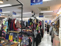 대일사