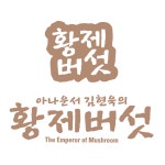스텔라코리아