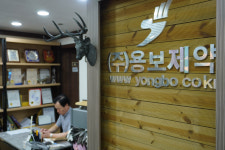용보제약