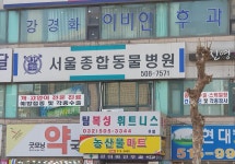서울종합동물병원