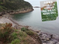 선유도으뜸횟집