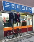 백조사