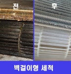 글로벌케어