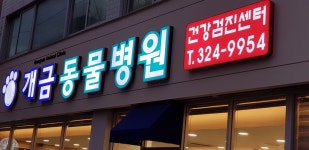 개금동물병원