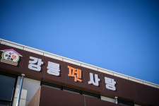 강릉펫사랑