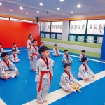 국가대표차오름태권도