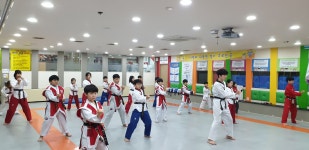 KTI 파워태권도