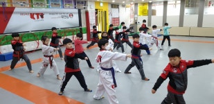KTI 파워태권도