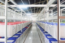 바이오버그코리아