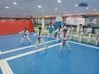 국가대표차오름태권도