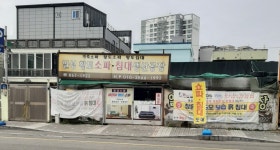 일성소파