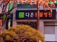 다온동물병원