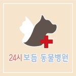 24시보듬동물병원