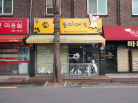 뚱이애견
