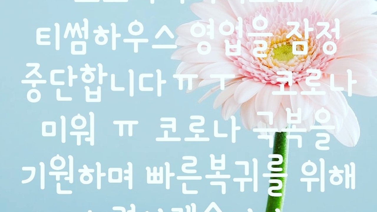티썸하우스