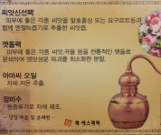 채에스테틱