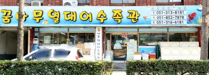 꿈나무열대어수족관