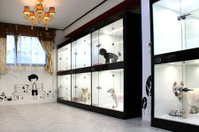 아이조아요양보호소 서울점