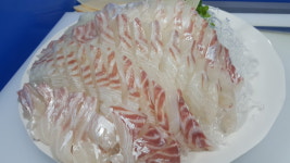 대명대광어횟집