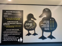 다시또오리