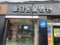 호담동물병원