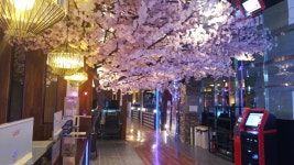 광PC카페 옥포직영점