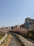 하늘꿈기독교백화점
