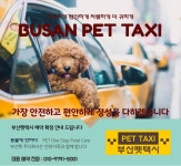 부산펫택시