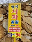 영석사과곶감농장
