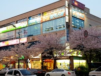 수룡관합기도 유림합기스쿨