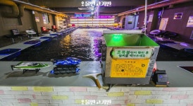 착한물고기