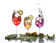 광주한방꽃차소믈리에