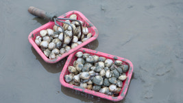 곰섬황토빌리지펜션