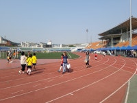 365인조잔디풋살시설