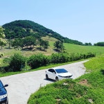 천황산사슴건강원 | 천황산사슴놈장
