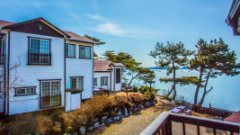 안면도바다처럼