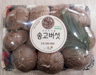 송고버섯