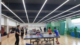 월드컵탁구클럽WTT