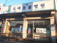 오태동물병원