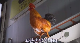 큰손닭한마리