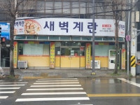 새벽계란