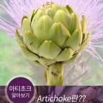 동신유통청천점 | 동신유통