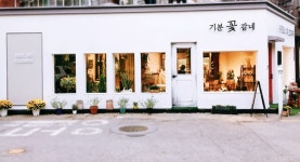 기분꽃같네