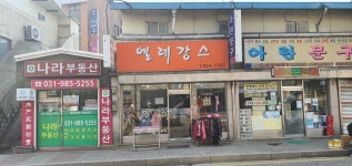 엘레강스