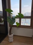 세품글로벌행정사