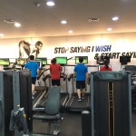 웰니스퍼스널트레이닝