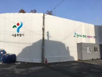파인트리