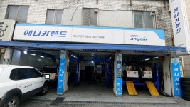 애니카랜드 개봉점