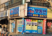 뉴행운부동산공인중개사사무소