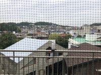 제프웰니스 연희본점